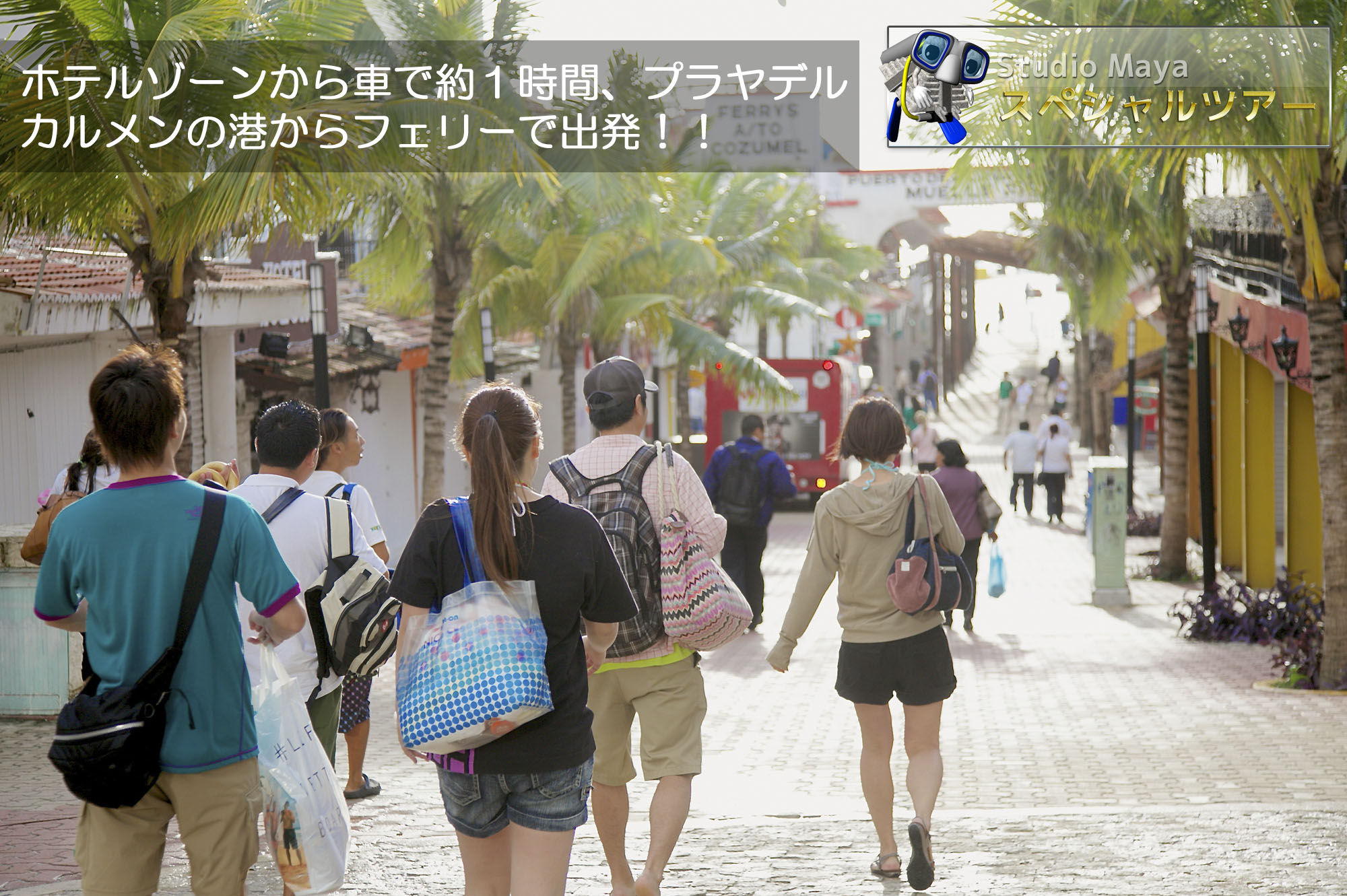 カンクン コスメル島 体験ダイビングツアーstudiomaya