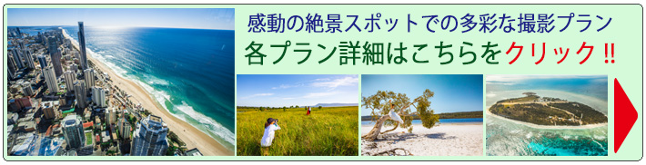ゴールドコーストウェディングフォトプラン