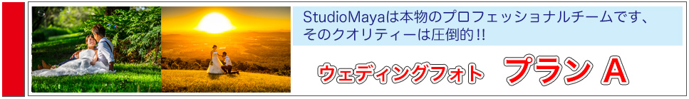 ゴールドコーストフォトウェディング