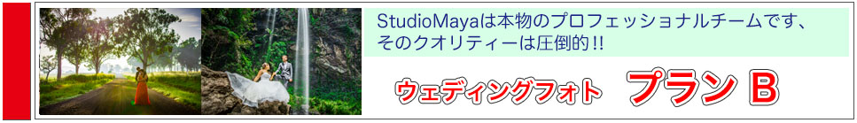 ゴールドコーストフォトウェディング