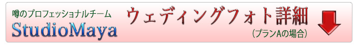 カンクンフォトウェディング詳細