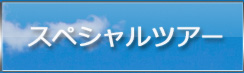 カンクン専門オプショナルツアー