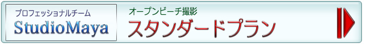 カンクンフォトウェディング/スタンダードプラン カンクンフォトウェディング/スタンダードプラン