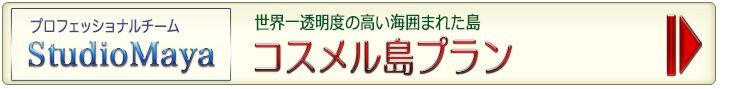 カンクンフォトウェディング/コスメル島プラン