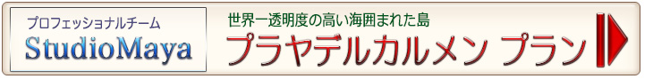 カンクンフォトウェディング/プラヤデルカルメンプラン カンクンフォトウェディング/プラヤデルカルメンプラン