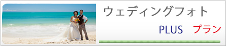 ウェディングフォトスタンダードプラン