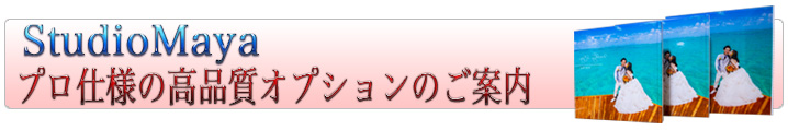 ゴールドコーストスタジオマヤオプション