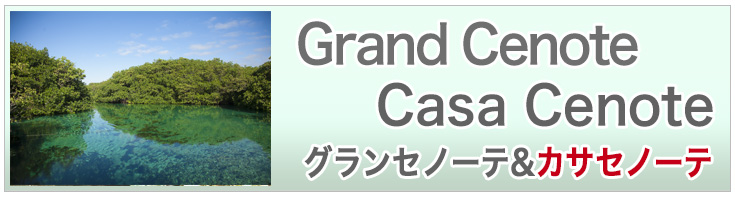 グランセノーテ/カサセノーテシュノーケリング